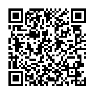 那洪亮的掌声在回音效果格外出色的剧院内部不断回荡着二维码生成
