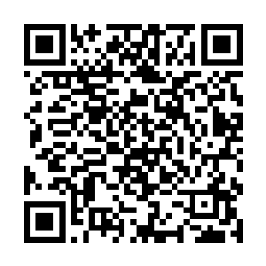 那浓郁纯净的灵气更是一瞬间便充斥着整个括山仙境二维码生成