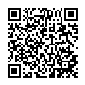 那海胆却是看着面前魁梧女性金鲨猛然冷冽的眼神有些哭笑不得二维码生成