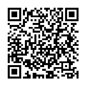 那淡淡的心酸就好像有一只大手狠狠地捏了捏心脏一般二维码生成