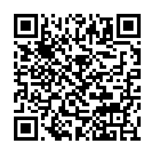 那淡淡的金色光芒就好像碎金阳光一般散落四周二维码生成