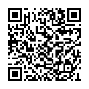 那清脆的声音和痛感让她知道这一切不是在做梦二维码生成