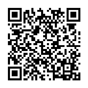 那渗透进许紫烟元神的精神波被一下字反弹了出去二维码生成