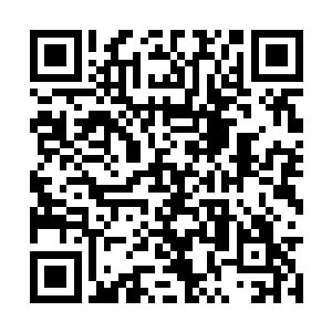 那漫空飞舞的传送阵材料就象是世间最珍贵的宝物二维码生成