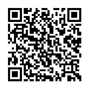 那火羽仙鹤早知道霍君白不怕火属性的单体攻击二维码生成