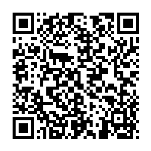 那灿烂之中带着一些稚嫩的笑容与整个人的优雅气质显得有些不太契合二维码生成