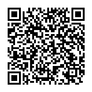 那点在金刚之山内部幽幽燃烧的一点神秘的火焰的光芒逐渐稳定了下来二维码生成