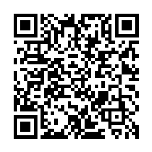 那炽烈的目光和坚定的眼神似乎已经把这个奖励收入囊中了一般二维码生成