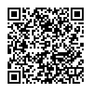那熊熊燃烧的烈焰秃鹫和分隔所有至强者的火球都消失不见了或者说二维码生成