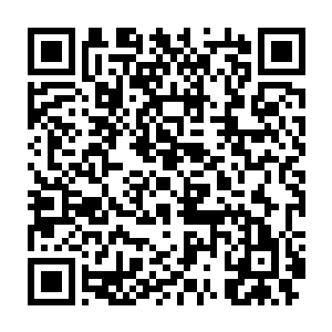 那熟悉的让人抓狂的剧痛还是让他们相当不淡定的一样的嗷嗷叫起~二维码生成