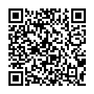 那片能量域场是由冥王星域的另一位大神祭出的二维码生成