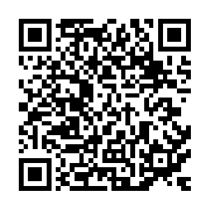 那猛然侵袭而来的情绪让恩斯特的整个世界就静止在了这一刻二维码生成