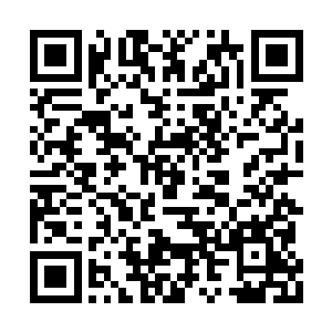 那猥琐男每天一下课就跑回寝室研究爱情动作片二维码生成