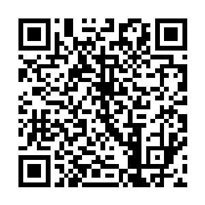 那玉扇公子感受到一股无可阻挡的强大恐怖力量向自己袭来二维码生成