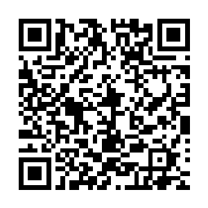 那玫红色面庞和炽热迷离的目光无一不在向陆为民暗示着什么二维码生成