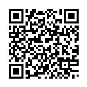 那现在他到底是让赵纯良回京城拿二维码生成