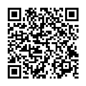 那画上画的明明就是我们那位刚发了撕人皮之威的灵界大姐二维码生成