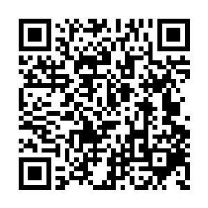 那白发老者看到杨风的三大武魂之后也是震动了二维码生成
