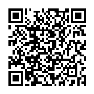 那白彪竟全都险之又险的避开了大魔神魔掌的攻击二维码生成