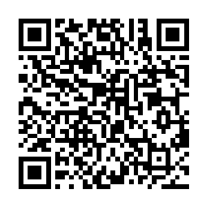 那白衣僧人却也如同瞬移一般再度拦在了楚旬的面前二维码生成