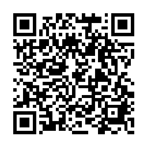那白衣公子缓缓抬起带有金丝牡丹刺绣的白靴子二维码生成