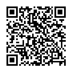 那眼前这个婢女只怕是除了那双极为好看的桃花眼之外二维码生成