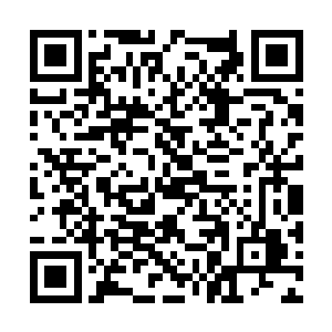 那眼前这家金碧辉煌的酒吧应该是仓颉社旗下产业二维码生成