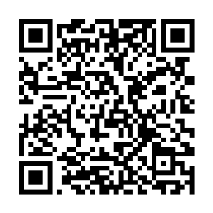 那破阵子是否真的是在须弥宗的宗门之内领悟的阵道二维码生成