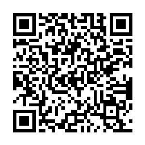 那祭台之上升起了一层层石头向着那个修士的身上开始攀爬二维码生成