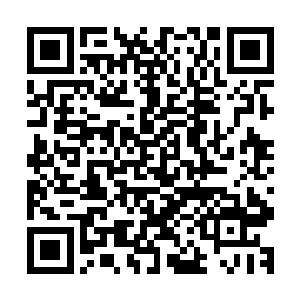 那种万年不变的扑克脸不应该出现在你这样的花季少女身上啊二维码生成