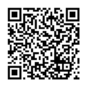 那种原本隐晦的狂躁暴虐感现在连莫崎都能感觉到~二维码生成