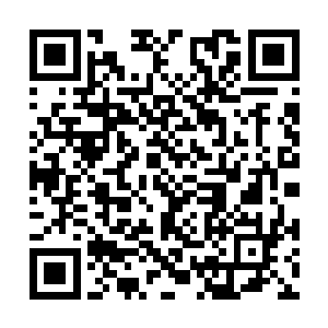 那种奇特的不属于任何活物的声音阵得人七窍生疼二维码生成