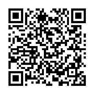 那种来头大到波罗涅申科很重视舍不得推掉的见面机会二维码生成