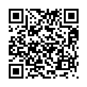 那种绝望的眼神让汪秋阳不敢对视二维码生成