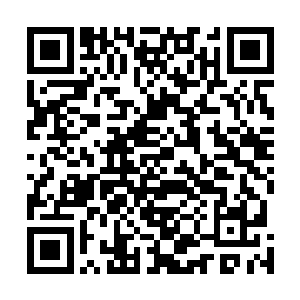那种诡异的恼火与愤怒再度自沈千寻的胸腔缓缓升起……二维码生成
