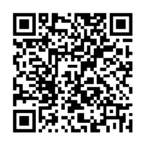 那种运筹帷幄的飞扬身材再次在她的身上散发出来二维码生成
