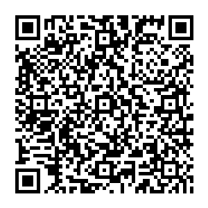 那空中和地面上冲天而起的数百道各种颜色各不相同的战气狼烟和战气龙卷仿佛成了天边的点缀一样二维码生成