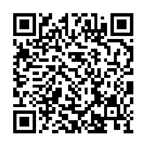 那穿着云禅丝织成衣服之人对着服务员摆了摆手二维码生成