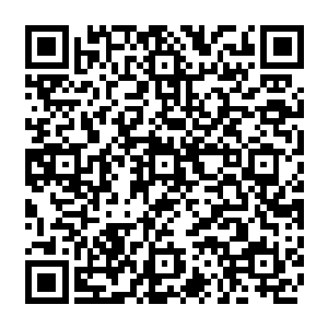 那站在一旁的工作人员想着这块石头自打自己接受雇主委托之后就一直不曾卖出去二维码生成