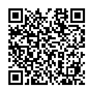 那符箓释放出来的威能绝对能够达到结丹期巅峰的威能二维码生成