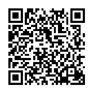 那第四个经络石平台之间的龙卷风还在远方游离着二维码生成