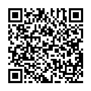 那笼罩在楚旬身上的铜钟虚影也绽放出更加璀璨的光辉二维码生成