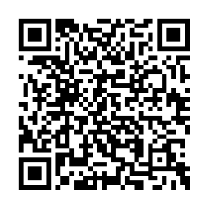 那箍在螭龙身体上的乾坤圈急剧地向着里面收缩二维码生成