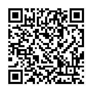 那绷直而细密的银线将会毫不留情地切入他的鳞片内二维码生成