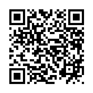 那绿色光点飞到一个奇怪的树林里二维码生成