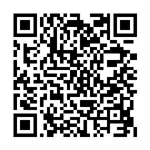 那缠绕在九头圣王身上的三条长龙却是光华大作二维码生成