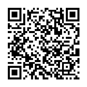 那群圣武士的首领是一名穿着光明铠甲的中年男性二维码生成