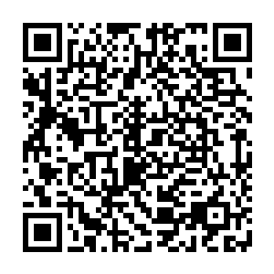那群被巫师流放的恶魔术士们更是在大灾变之后成功地建立起来一个强大的国度二维码生成