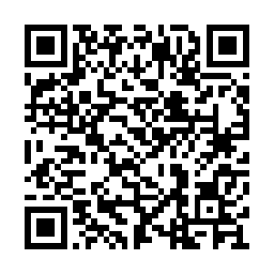 那翻腾的战气慢慢在他身后凝聚出一只朦朦胧胧二维码生成