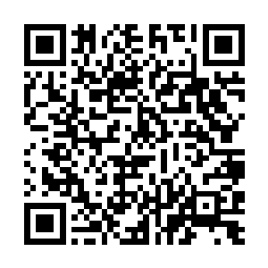 那股气息竟还如隐藏着一股令人毛骨悚然的邪恶气息二维码生成